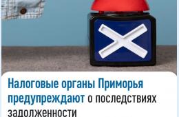 07.08.2025 Налоговые органы предупреждают о последствиях задолженности | Администрация муниципального округа город Партизанск Приморского края Официальный сайт
